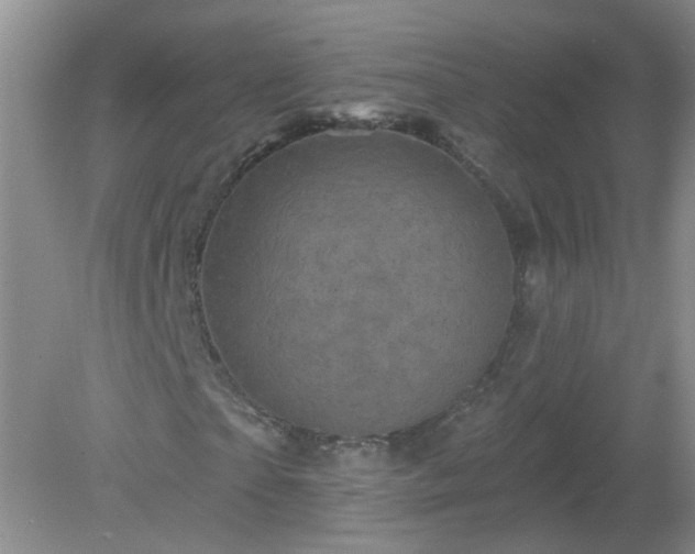 X0000079330865200611251828