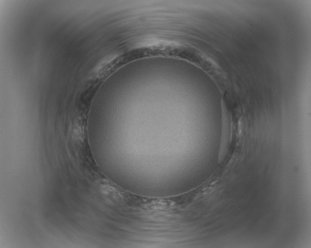 X0000079330869200611251828