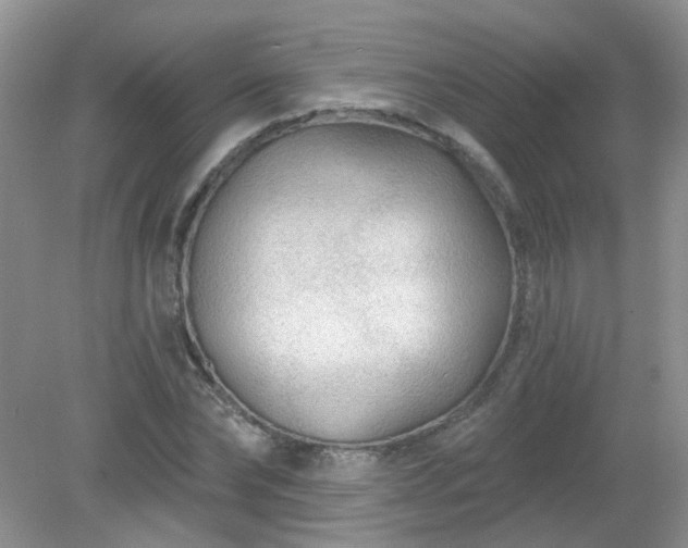 X0000079330878200611251828