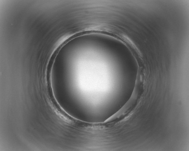 X0000079330884200611251828