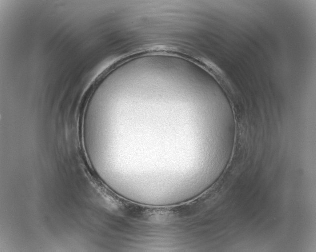 X0000079330886200611251828