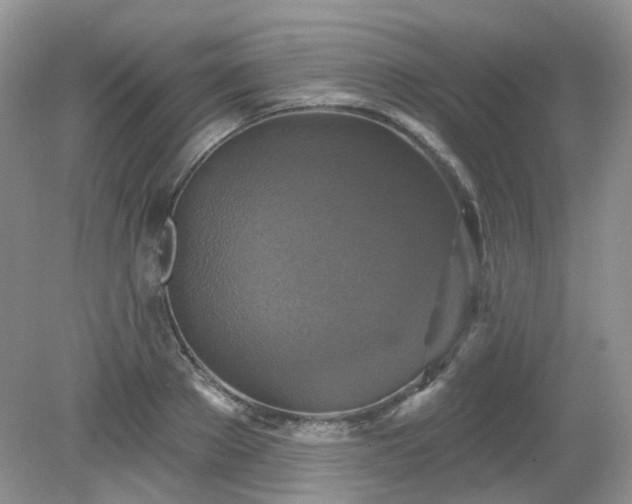 X0000079330889200611251828