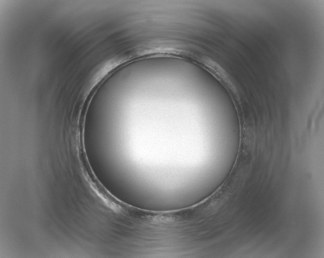 X0000079330890200611251828