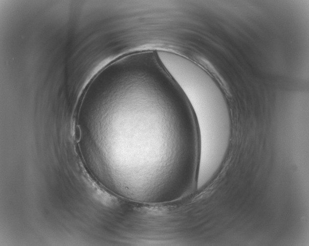 X0000079330900200611251828