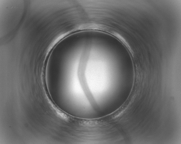 X0000079330901200611251828