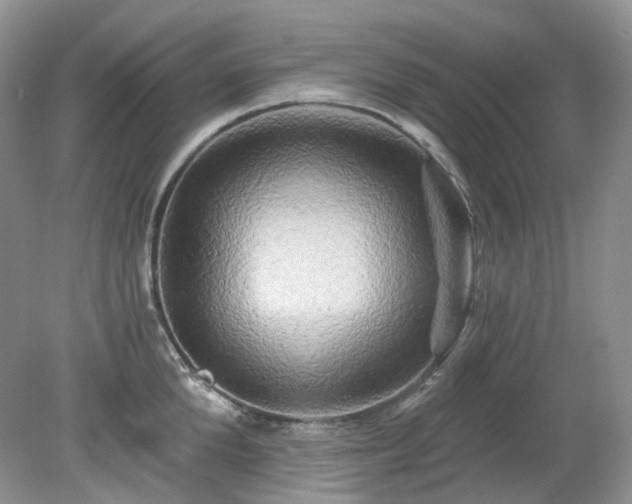 X0000079330904200611251828