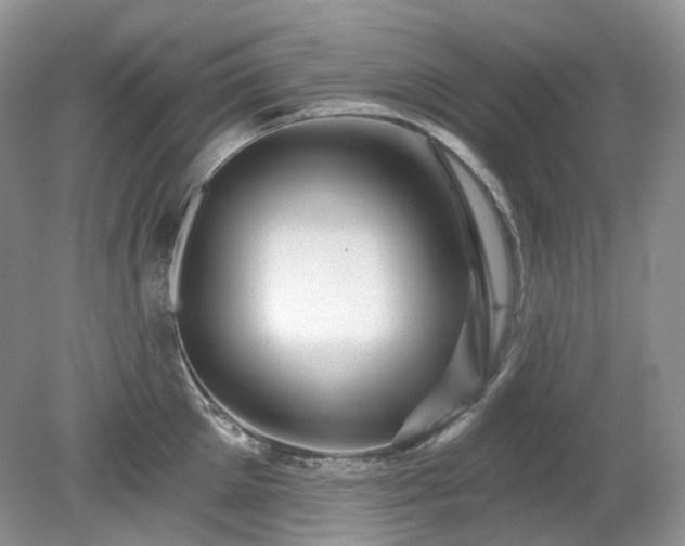 X0000079330905200611251828