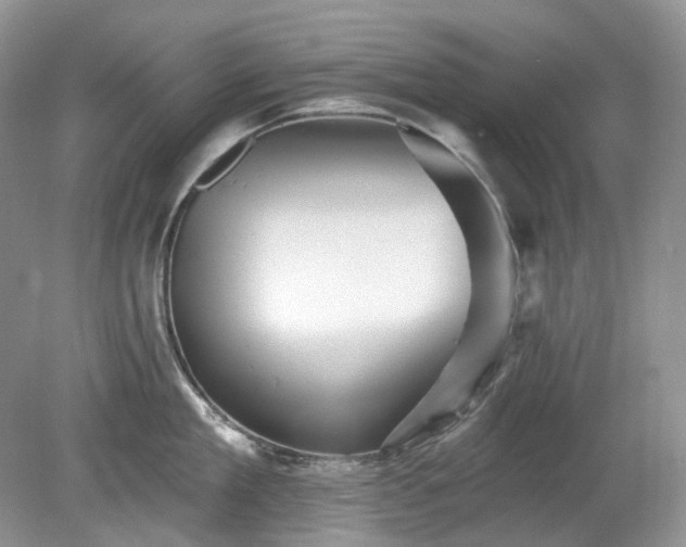 X0000079330909200611251828