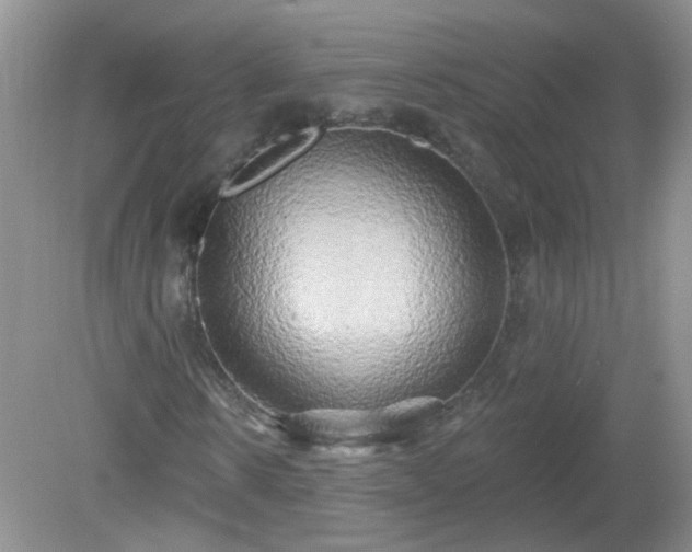 X0000079330914200611251827