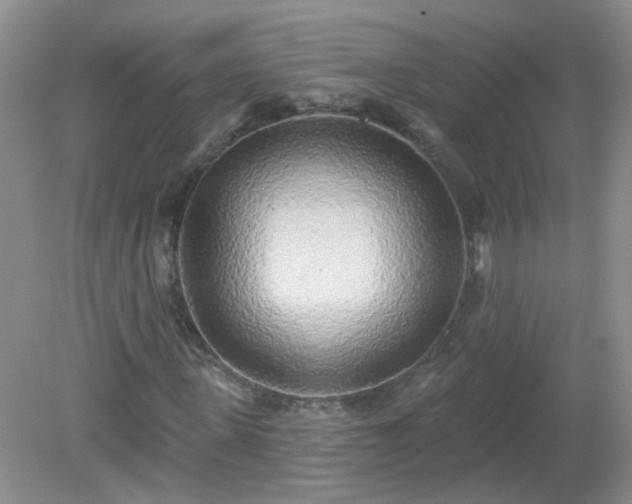 X0000079330915200611251827