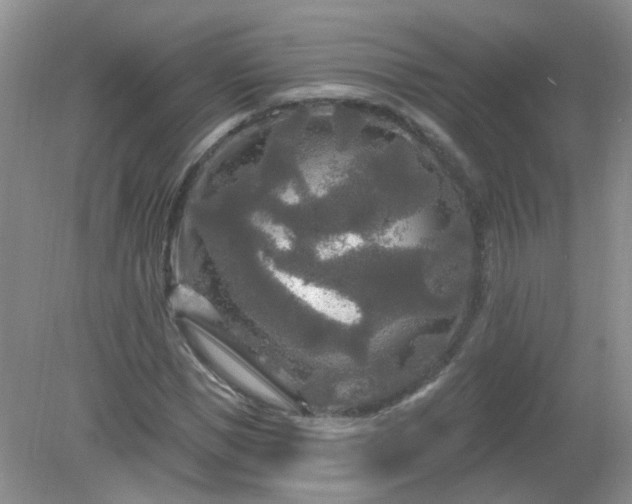 X0000079330921200611251827