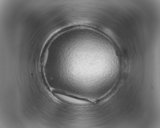 X0000079330924200611251827
