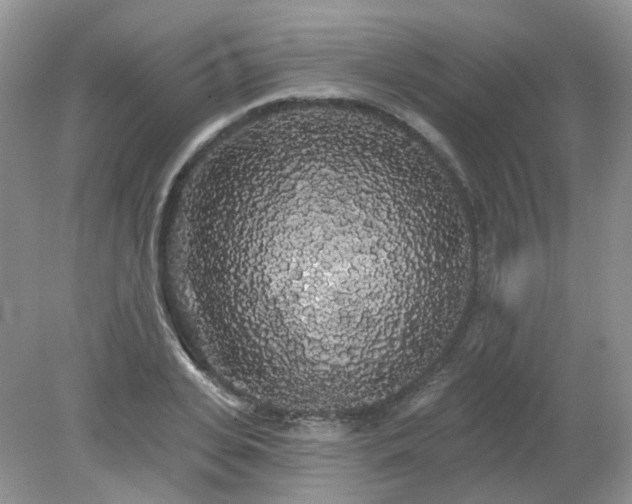 X0000079330935200611251827