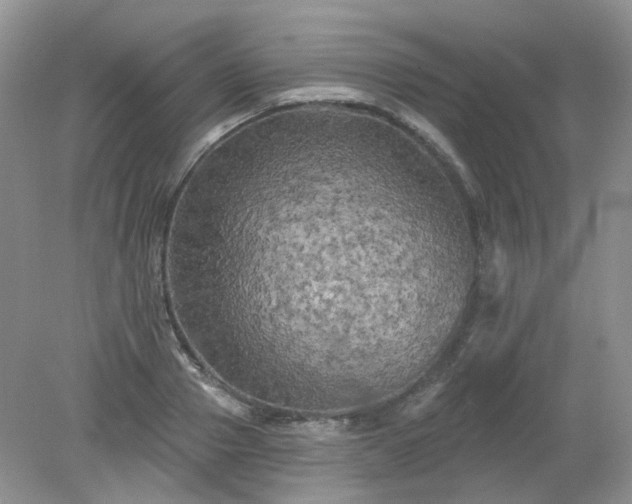 X0000079330937200611251827