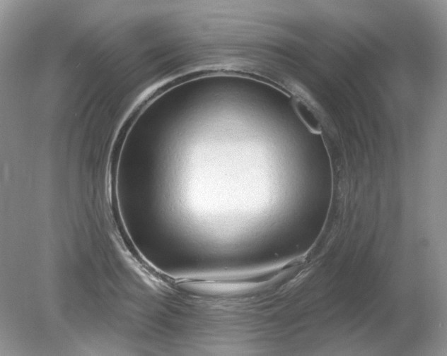 X0000079330940200611251827