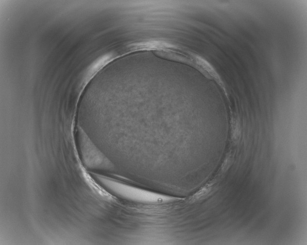 X0000079330946200611251827