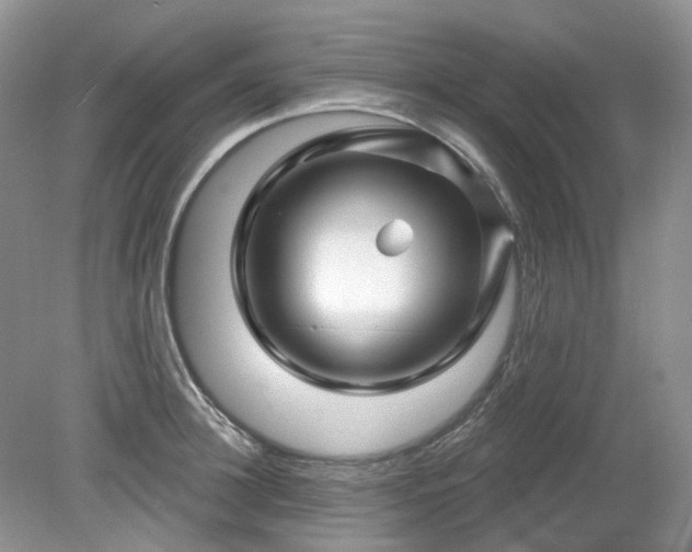 X0000079330948200611251827
