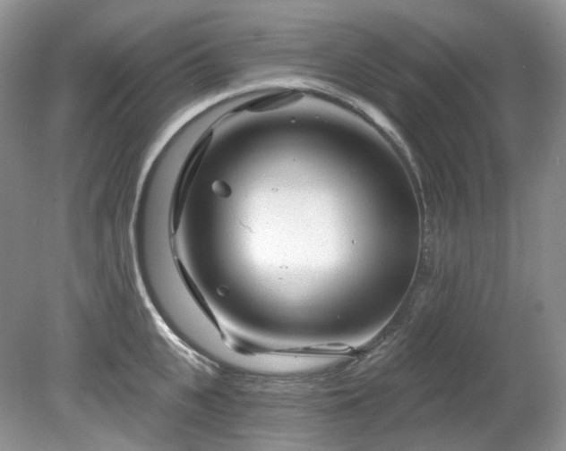 X0000079330951200611251827