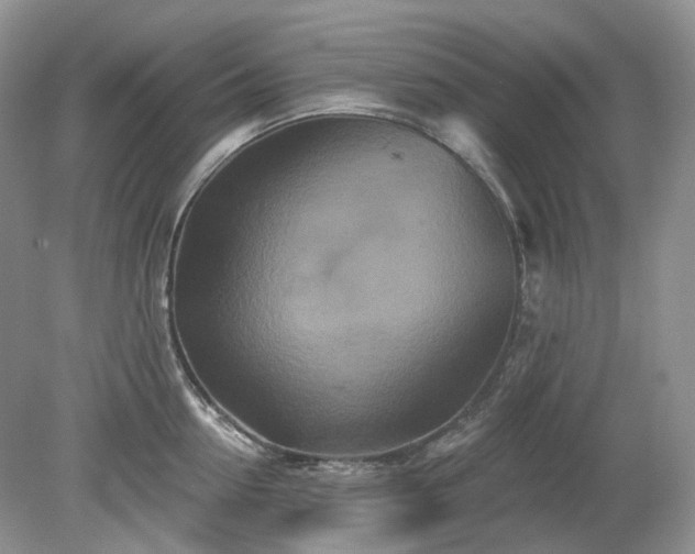 X0000079330954200611251827