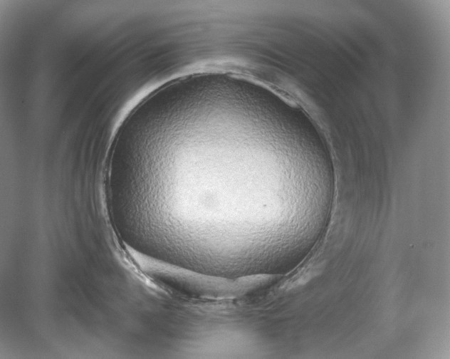 X0000079330960200611251828