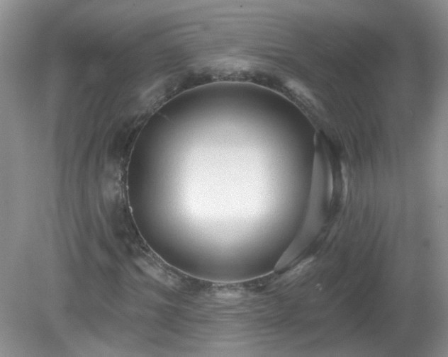 X0000079330964200611251827