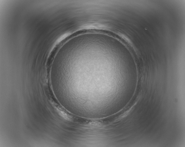 X0000079330974200611251827