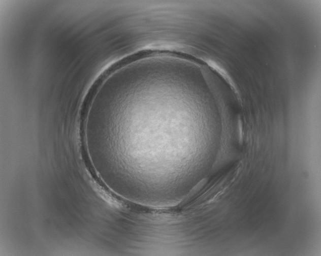 X0000079330976200611251827
