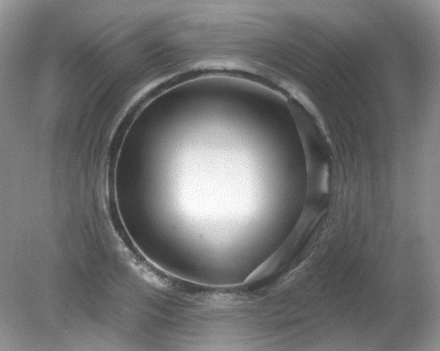 X0000079330984200611251826