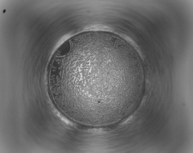 X0000079330990200611251826