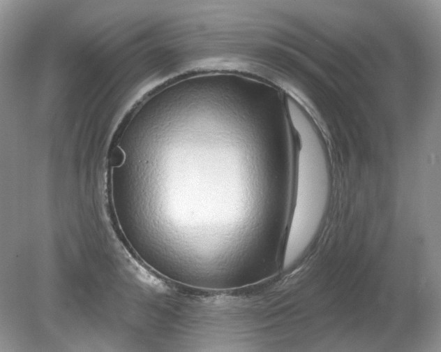 X0000079330992200611251826