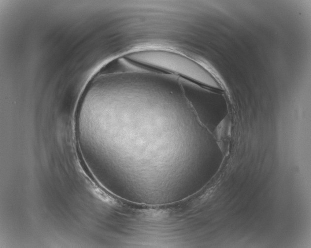 X0000079330996200611251826