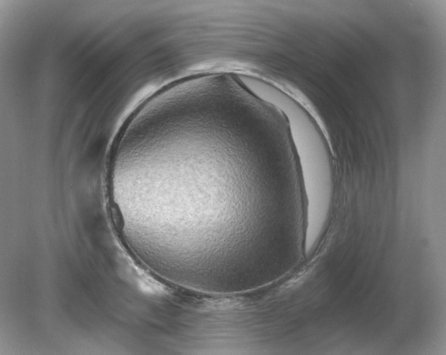 X0000079330997200611251826
