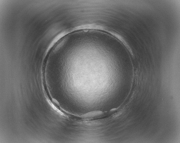 X0000079330998200611251826
