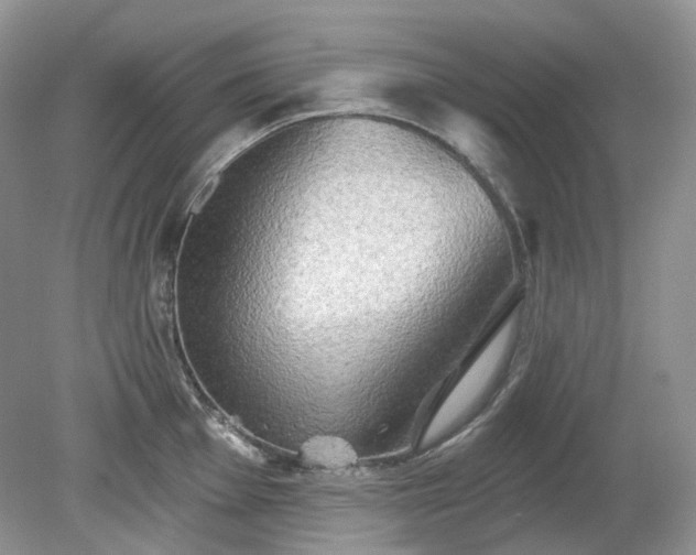 X0000079331001200611251826