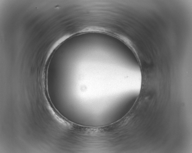 X0000079331003200611251826