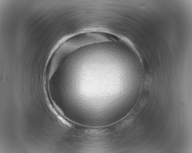 X0000079331005200611251826
