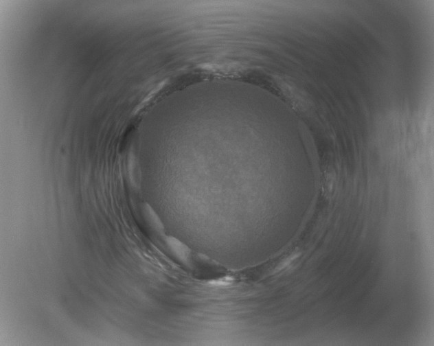 X0000079331010200611251825