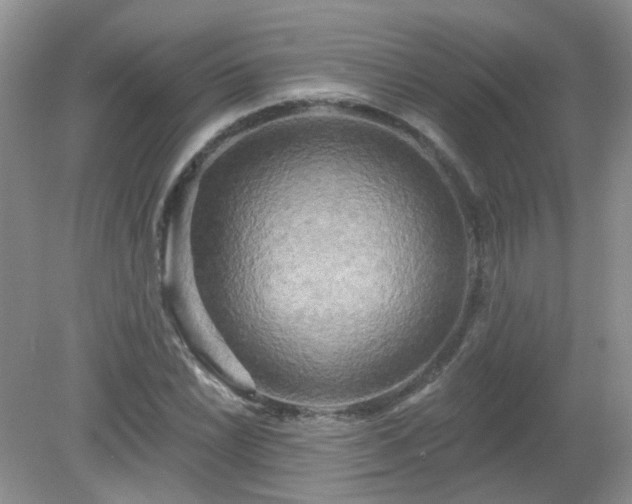 X0000079331022200611251825