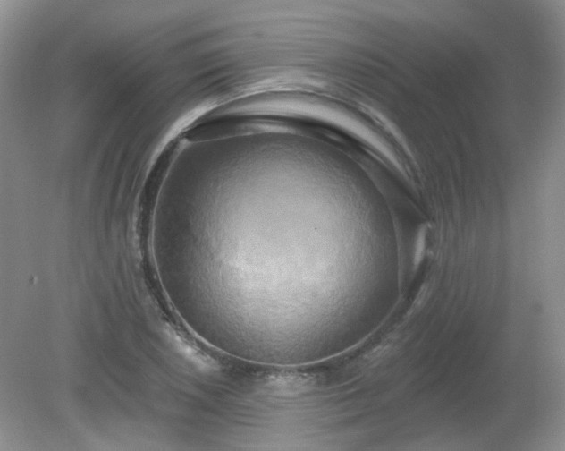 X0000079331026200611251825