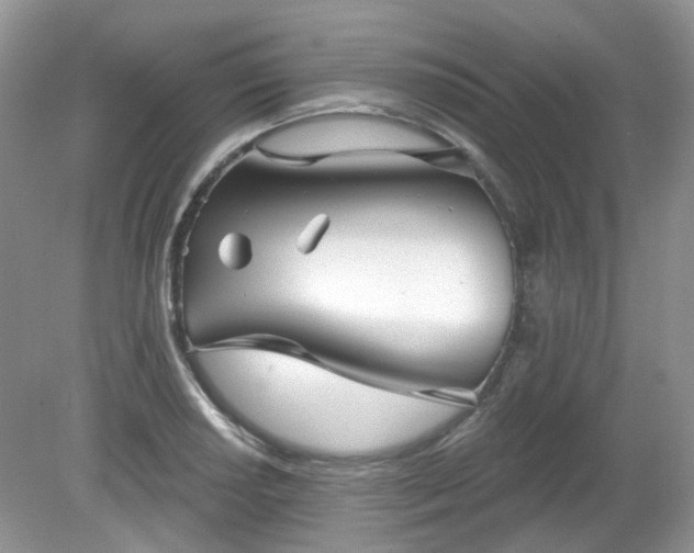 X0000079331034200611251826