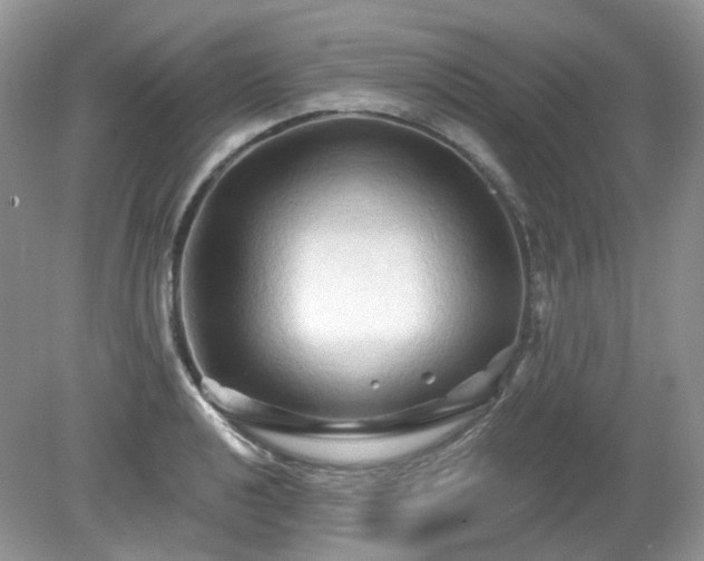 X0000079331040200611251826