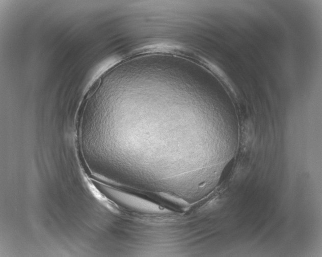 X0000079331042200611251826