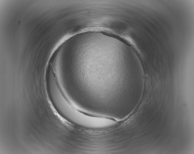 X0000079331046200611251826