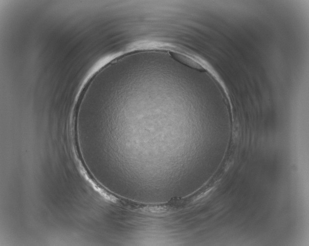 X0000079331053200611251826