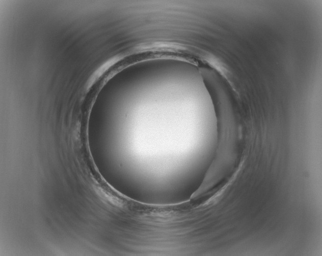 X0000079331066200611251825