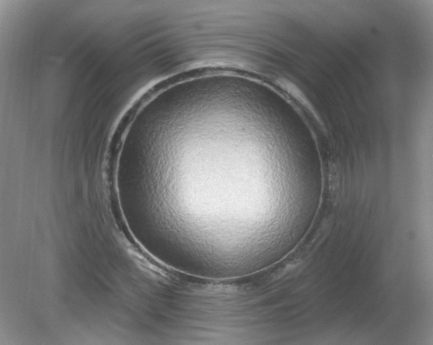 X0000079331068200611251825