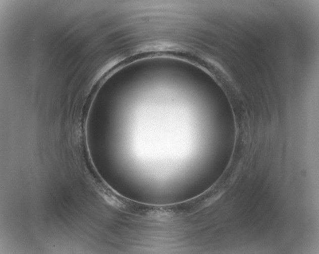 X0000079331073200611251825