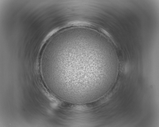 X0000079331074200611251825