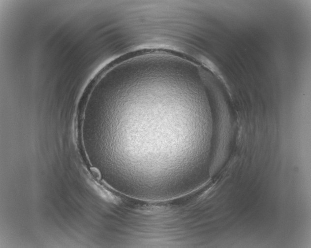 X0000079331076200611251825