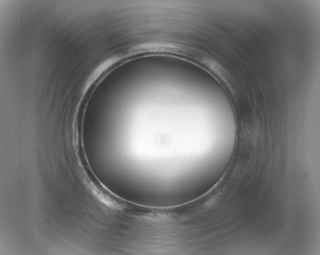 X0000079331082200611251825